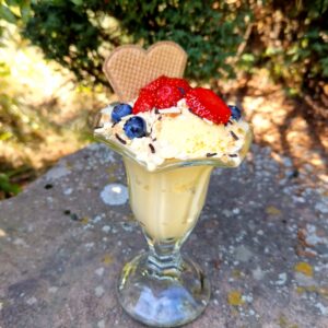 Vanilla Icecream with Berry Jam/Vanille-Eis mit Beeren Marmelade