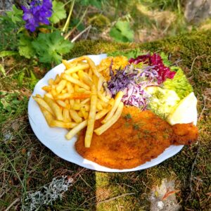 Pork Schnitzel with French Fries and Salad/Schweineschnitzel mit Pommes und Salat